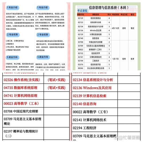 就业前景广阔,涉及人工智能,软件开发,信息管理等众多